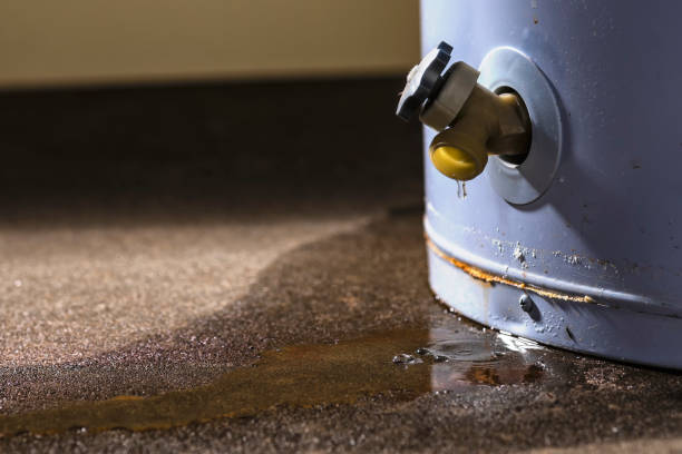 Reliable Crandon, WI Water damage restoration Solutions