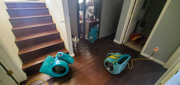 Best Local water damage restoration  in Crandon, WI