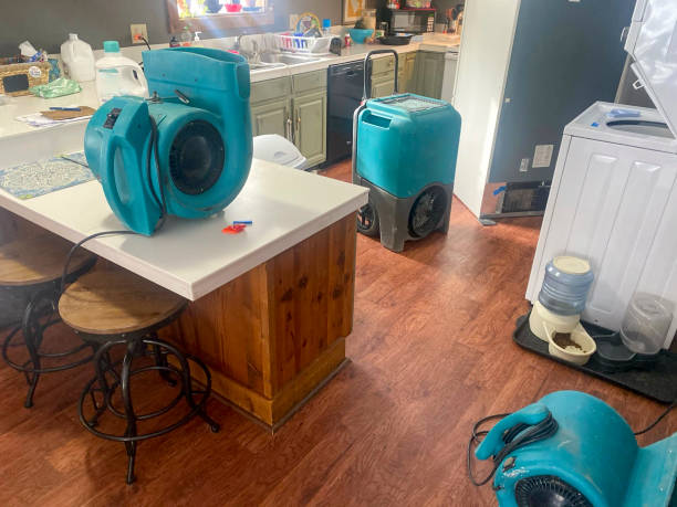 Best 24-hour water damage restoration  in Crandon, WI