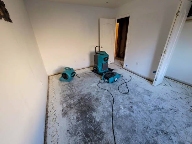 Best Residential water damage restoration  in Crandon, WI