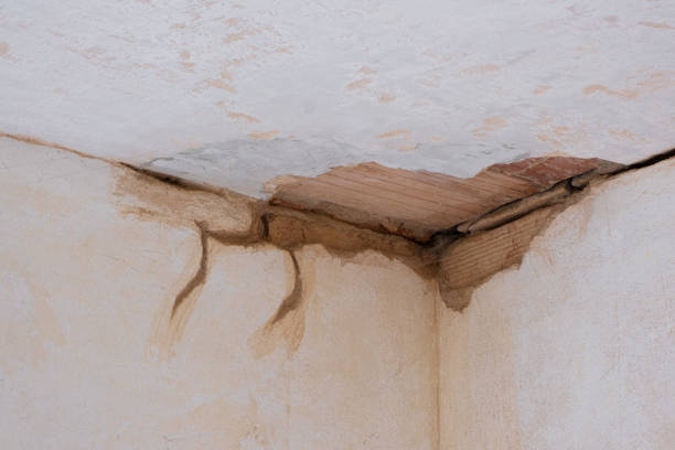 Best 24-hour water damage restoration  in Crandon, WI