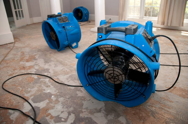 Best Emergency water damage restoration  in Crandon, WI