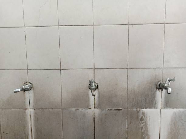 Best Flood restoration services  in Crandon, WI