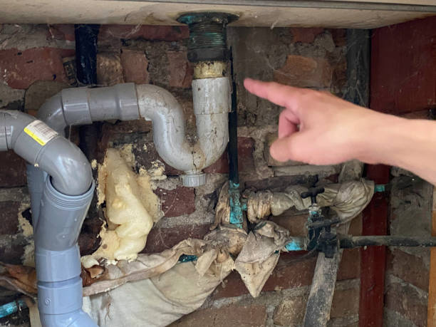 Best Flood restoration services  in Crandon, WI