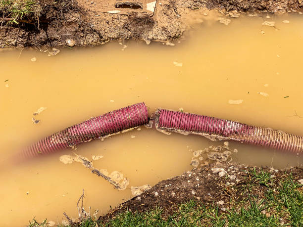 Best Water damage contractors near me  in Crandon, WI