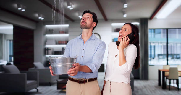 Best 24/7 water damage repair  in Crandon, WI